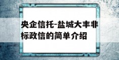 央企信托-盐城大丰非标政信的简单介绍