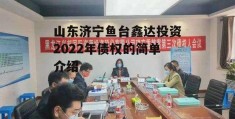 山东济宁鱼台鑫达投资2022年债权的简单介绍