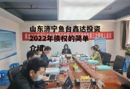 山东济宁鱼台鑫达投资2022年债权的简单介绍