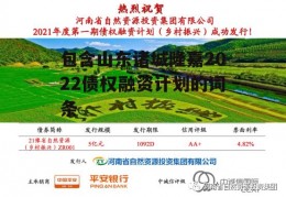 包含山东诸城隆嘉2022债权融资计划的词条