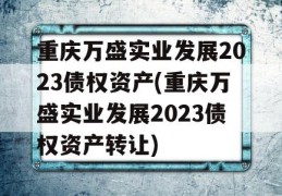 重庆万盛实业发展2023债权资产(重庆万盛实业发展2023债权资产转让)