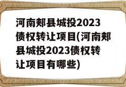 河南郏县城投2023债权转让项目(河南郏县城投2023债权转让项目有哪些)