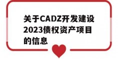 关于CADZ开发建设2023债权资产项目的信息