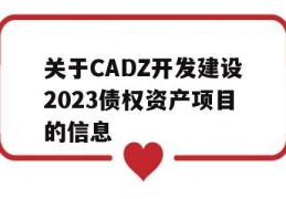 关于CADZ开发建设2023债权资产项目的信息