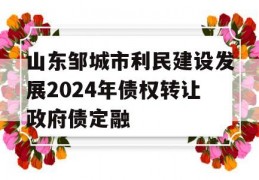 山东邹城市利民建设发展2024年债权转让政府债定融