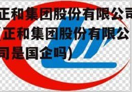 正和集团股份有限公司(正和集团股份有限公司是国企吗)