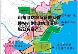 山东潍坊滨海新城公有债权计划(潍坊滨海新城公有资产)