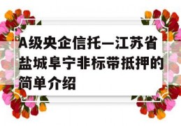 A级央企信托—江苏省盐城阜宁非标带抵押的简单介绍