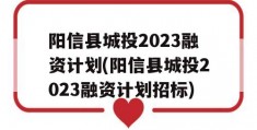 阳信县城投2023融资计划(阳信县城投2023融资计划招标)