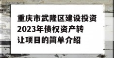 重庆市武隆区建设投资2023年债权资产转让项目的简单介绍