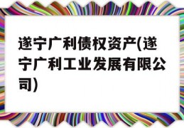 遂宁广利债权资产(遂宁广利工业发展有限公司)