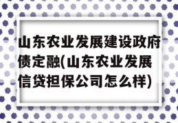 山东农业发展建设政府债定融(山东农业发展信贷担保公司怎么样)