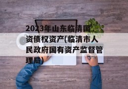 2023年山东临清国资债权资产(临清市人民政府国有资产监督管理局)