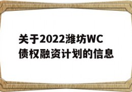 关于2022潍坊WC债权融资计划的信息