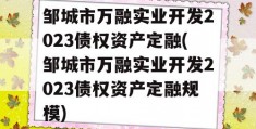 邹城市万融实业开发2023债权资产定融(邹城市万融实业开发2023债权资产定融规模)