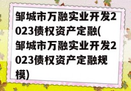 邹城市万融实业开发2023债权资产定融(邹城市万融实业开发2023债权资产定融规模)