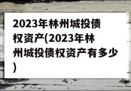 2023年林州城投债权资产(2023年林州城投债权资产有多少)