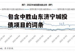 包含中胜山东济宁城投债项目的词条