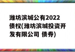 潍坊滨城公有2022债权(潍坊滨城投资开发有限公司 债券)