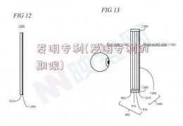 发明专利(发明专利的期限)