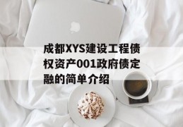 成都XYS建设工程债权资产001政府债定融的简单介绍