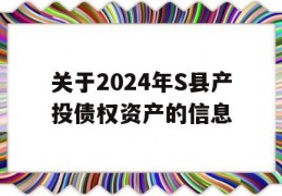 关于2024年S县产投债权资产的信息