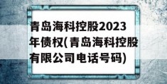 青岛海科控股2023年债权(青岛海科控股有限公司电话号码)