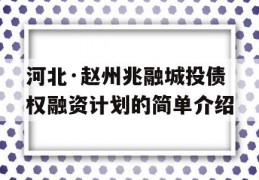 河北·赵州兆融城投债权融资计划的简单介绍