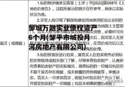 邹城万融实业债权资产6个月(邹平市城投月河房地产有限公司)