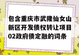 包含重庆市武隆仙女山新区开发债权转让项目02政府债定融的词条