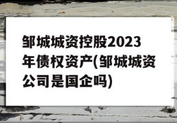 邹城城资控股2023年债权资产(邹城城资公司是国企吗)