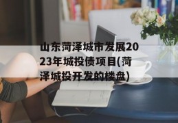 山东菏泽城市发展2023年城投债项目(菏泽城投开发的楼盘)