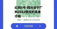 红码9号-四川遂宁广利2022债权的简单介绍