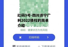 红码9号-四川遂宁广利2022债权的简单介绍