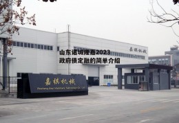 山东诸城隆嘉2023政府债定融的简单介绍