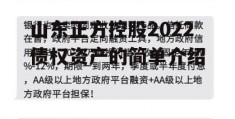 山东正方控股2022债权资产的简单介绍