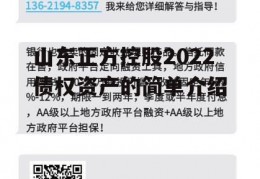 山东正方控股2022债权资产的简单介绍