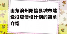 山东滨州阳信县城市建设投资债权计划的简单介绍