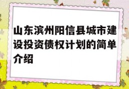 山东滨州阳信县城市建设投资债权计划的简单介绍