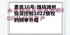 惠民16号-潍坊潍州投资控股2022债权的简单介绍