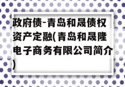 政府债-青岛和晟债权资产定融(青岛和晟隆电子商务有限公司简介)