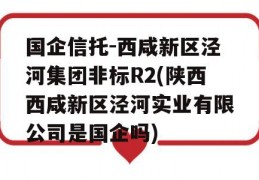 国企信托-西咸新区泾河集团非标R2(陕西西咸新区泾河实业有限公司是国企吗)