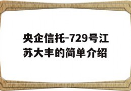 央企信托-729号江苏大丰的简单介绍