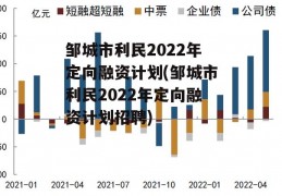 邹城市利民2022年定向融资计划(邹城市利民2022年定向融资计划招聘)