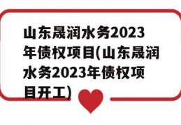 山东晟润水务2023年债权项目(山东晟润水务2023年债权项目开工)