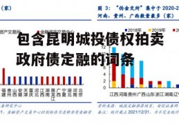 包含昆明城投债权拍卖政府债定融的词条