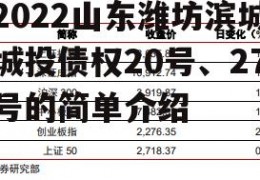 2022山东潍坊滨城城投债权20号、27号的简单介绍