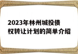 2023年林州城投债权转让计划的简单介绍