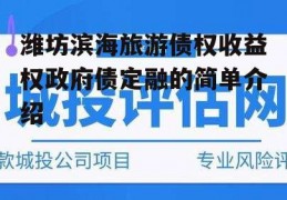 潍坊滨海旅游债权收益权政府债定融的简单介绍