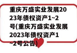 重庆万盛实业发展2023年债权资产1~2号(重庆万盛实业发展2023年债权资产1~2号公告)